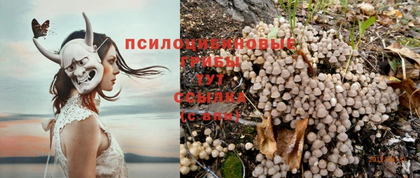 трава Вязники
