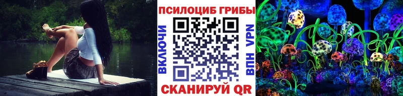 Псилоцибиновые грибы Psilocybine cubensis  Дорогобуж 