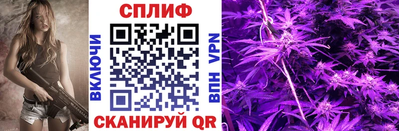 Марихуана White Widow  Дорогобуж 